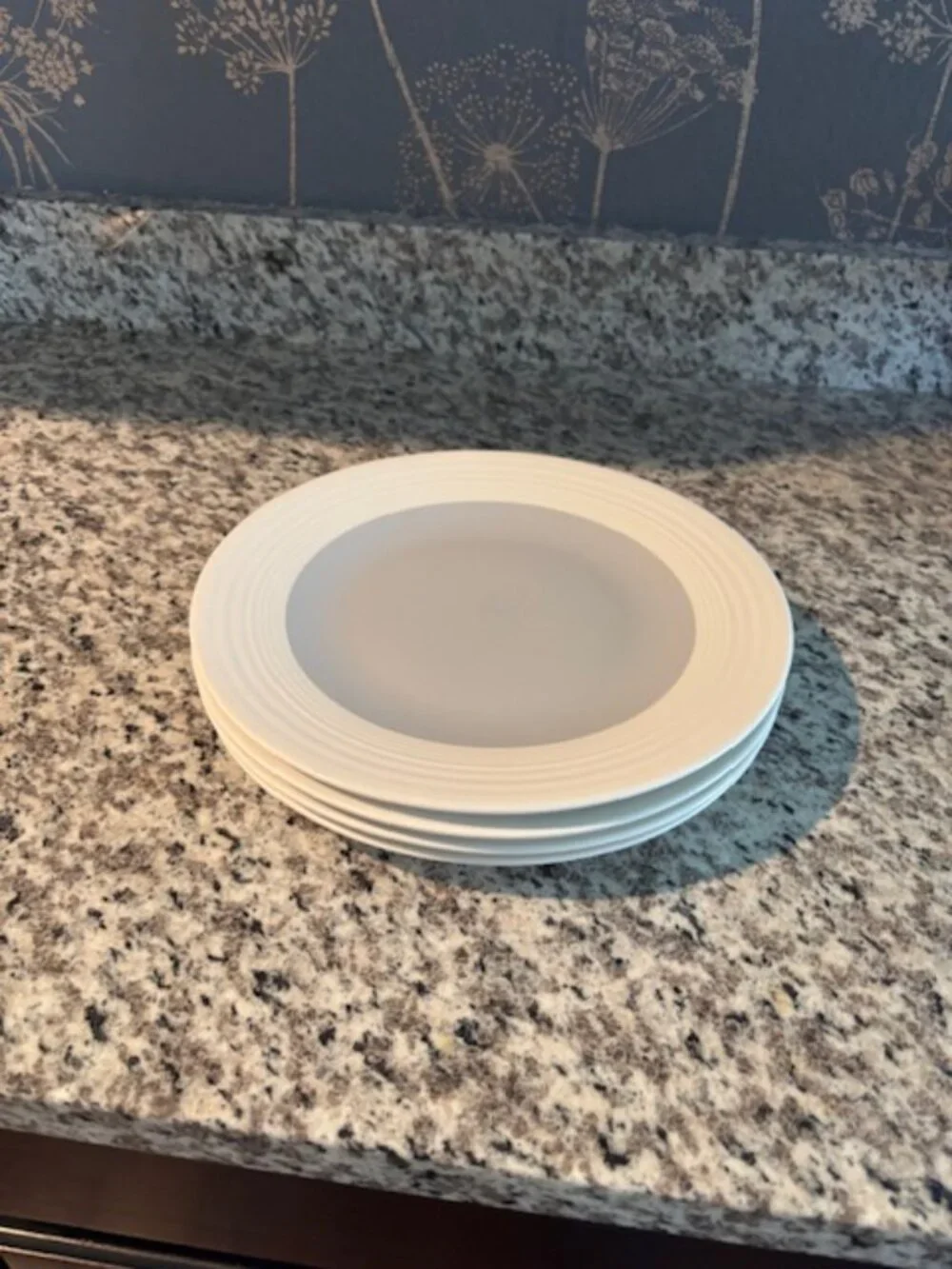 NEW Cream and blue-gray stoneware dinner plates from Target Home - SALE!